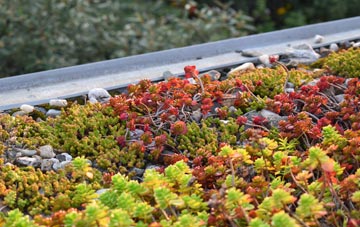 the cost of Wellswood green roof installation