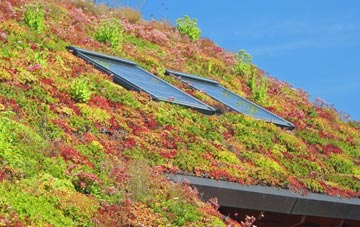 Wellswood living roof systems